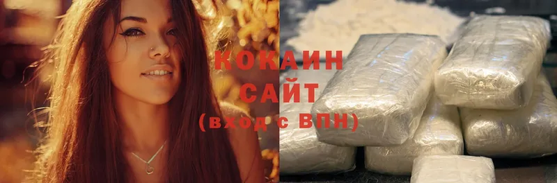 Cocaine FishScale  купить наркотик  Агрыз 