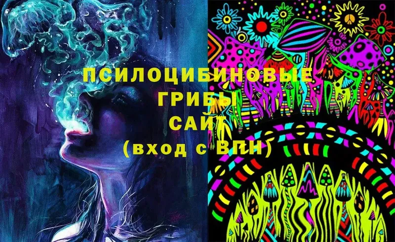 Псилоцибиновые грибы Cubensis  Агрыз 